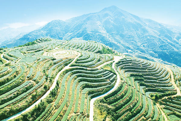 平和有什么好玩的旅游景点 平和有什么好玩的旅游景点