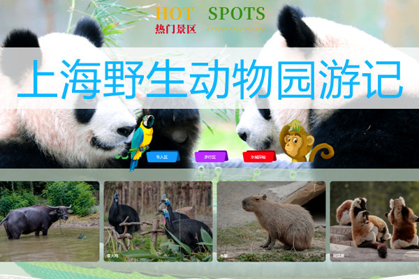 谁有上海野生动物园游记