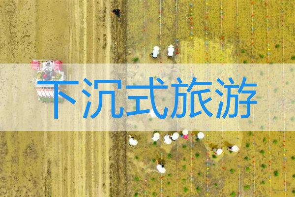 下沉式旅游是什么意思