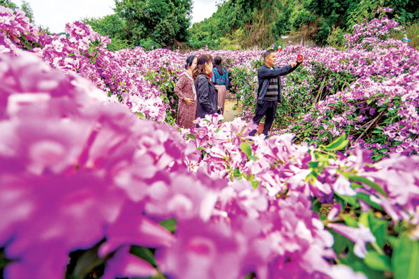 外地旅游怎样避免水土不服