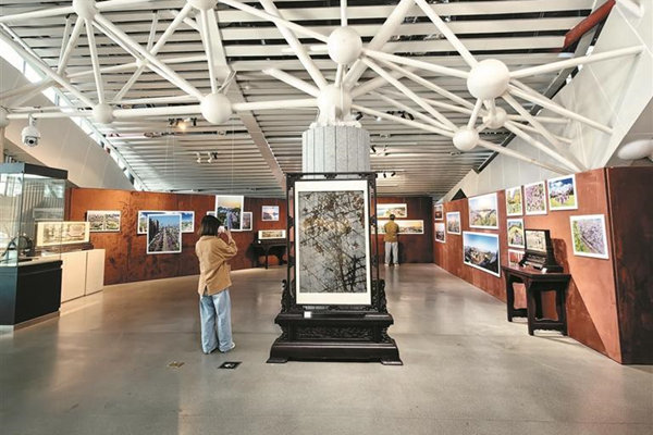 柳州奇石馆举办城市建设摄影展暨国画石展览