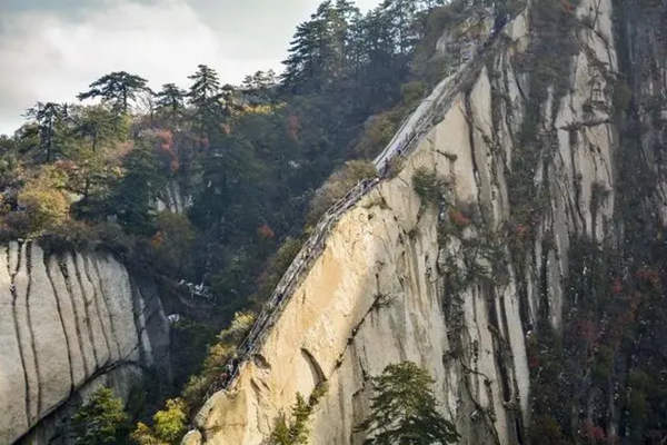 爬华山一年死多少人