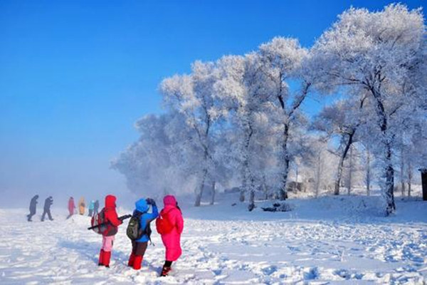 雪乡自由行怎么玩