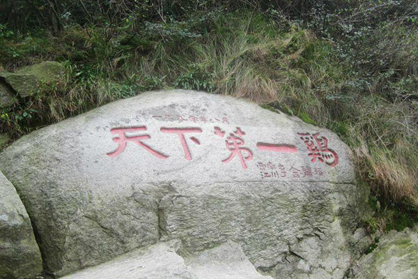 鸡公山免费时间2024怎么预约 鸡公山免费时间2024怎么预约